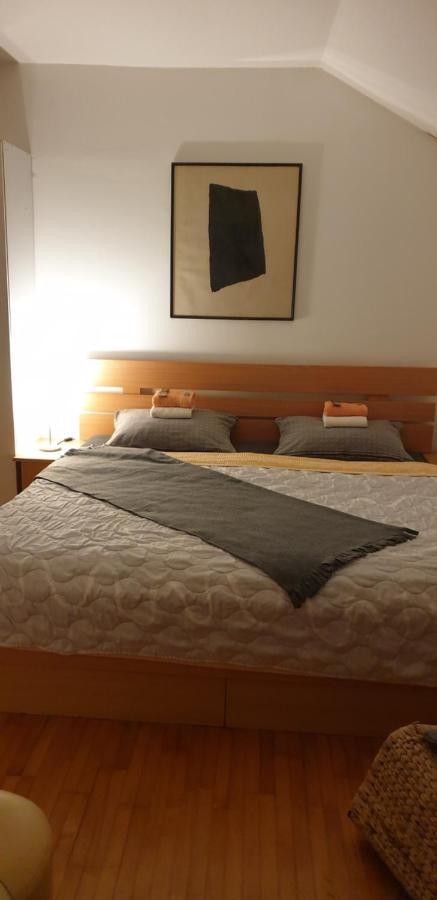Apartments Bikica Vrnjacka Banja Luaran gambar
