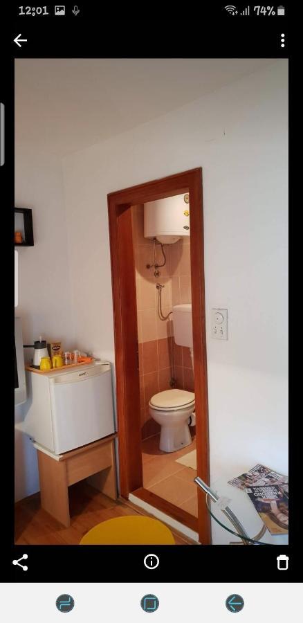 Apartments Bikica Vrnjacka Banja Luaran gambar